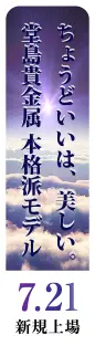ちょうどいいは美しい 堂島貴金属 本格派モデル